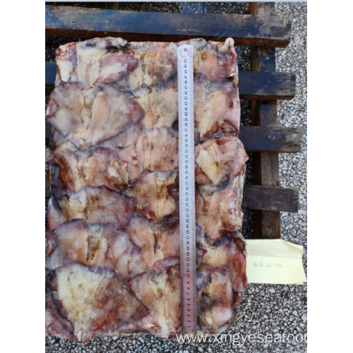 Frozen Squid Leftover Wing Dosidicus Gigas 300-500g